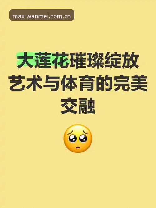 完美体育官方版安装失败 完美体育官方版安装失败怎么办?从根源到解决的全方位分析
